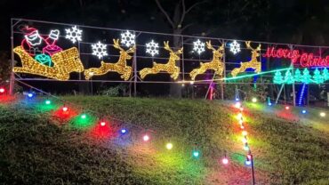 Christmas Lights in Yishun