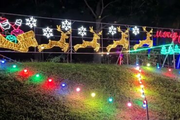 Christmas Lights in Yishun