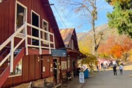 Day trips in Apple Valley California