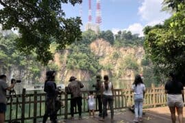 Day trips in Bukit Timah