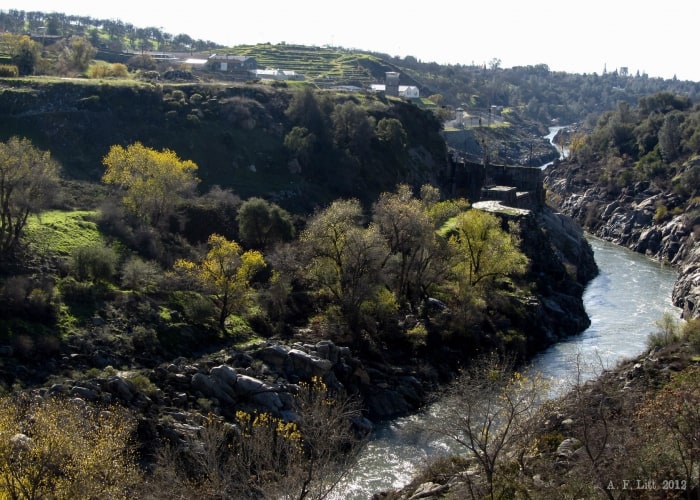 Day trips in Folsom California