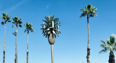 Day trips in Jurupa Valley California