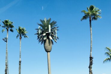 Day trips in Jurupa Valley California