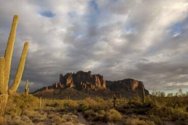 Day trips in Mesa Arizona