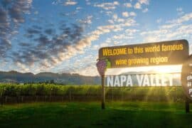 Day trips in Napa California