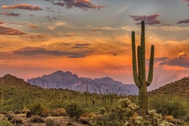 Day trips in Peoria Arizona