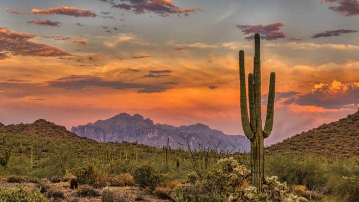 Day trips in Peoria Arizona