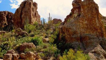 Day trips in Queen Creek Town Arizona