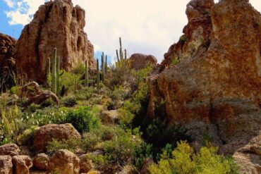 Day trips in Queen Creek Town Arizona