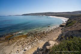 Day trips in Santa Rosa California