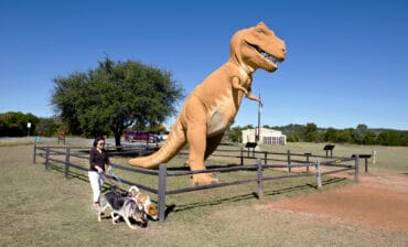 Day trips in Temple Texas