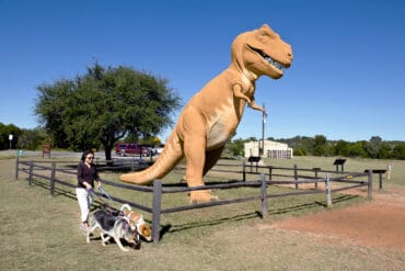 Day trips in Temple Texas