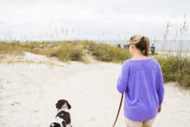 Dog Friendly Beaches in Columbus Georgia