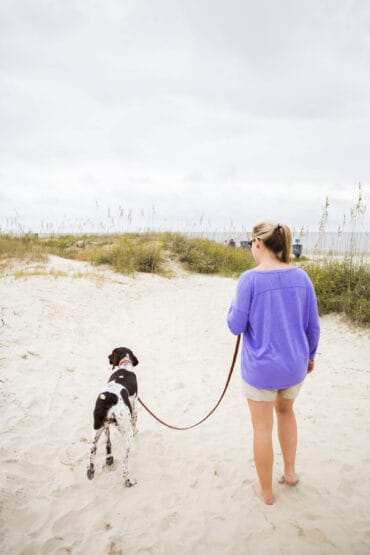 Dog Friendly Beaches in Columbus Georgia