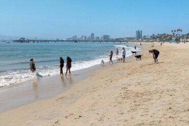 Dog Friendly Beaches in East Los Angeles California