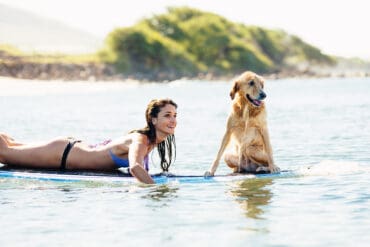 Dog Friendly Beaches in Escondido California