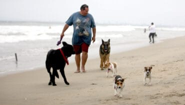 Dog Friendly Beaches in Fontana California