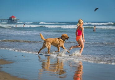 Dog Friendly Beaches in Fullerton California