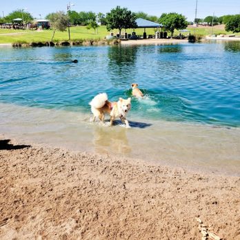 Dog Friendly Beaches in Gilbert Town Arizona