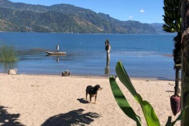 Dog Friendly Beaches in Lake Elsinore California