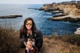 Dog Friendly Beaches in Milpitas California