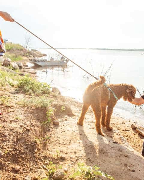 Dog Friendly Beaches in Overland Park Kansas