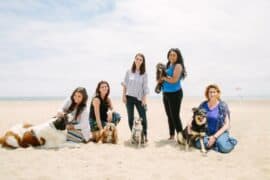 Dog Friendly Beaches in Oxnard California