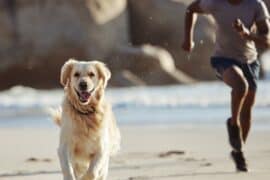 Dog Friendly Beaches in Round Rock Texas