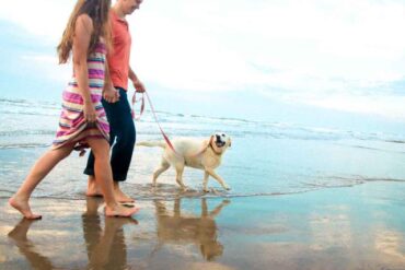 Dog Friendly Beaches in San Antonio Texas