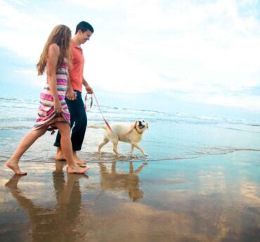 Dog Friendly Beaches in San Antonio Texas