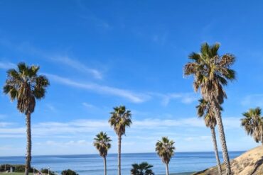 Dog Friendly Beaches in San Marcos California