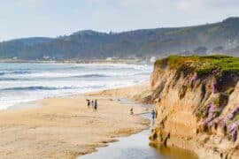 Dog Friendly Beaches in San Mateo California