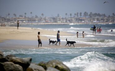 Dog Friendly Beaches in Santa Ana California