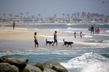 Dog Friendly Beaches in Santa Ana California