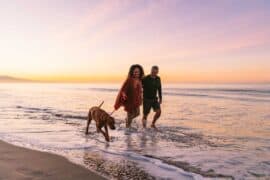 Dog Friendly Beaches in Santa Maria California