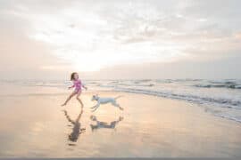 Dog Friendly Beaches in Spring Texas