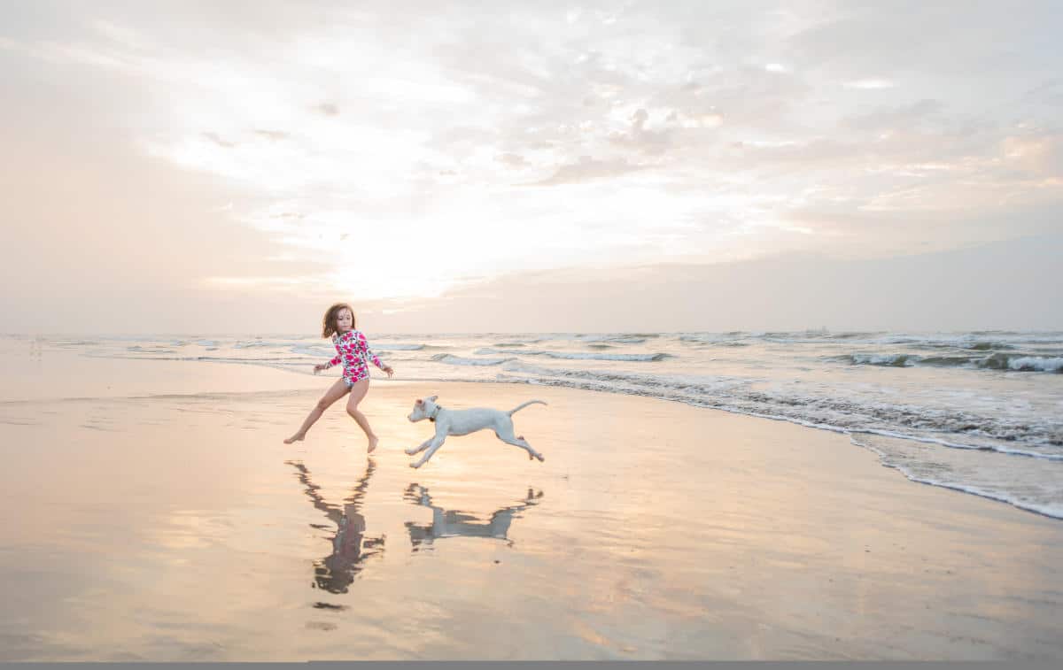 Dog Friendly Beaches in Spring Texas