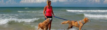 Dog Friendly Beaches in St. George Utah