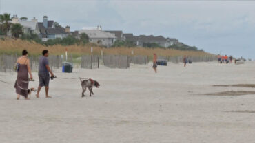 Dog Friendly Beaches in Temple Texas