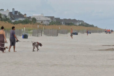 Dog Friendly Beaches in Temple Texas