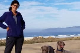 Dog Friendly Beaches in Tulare California