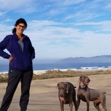 Dog Friendly Beaches in Tulare California