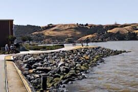 Dog Friendly Beaches in Vallejo California