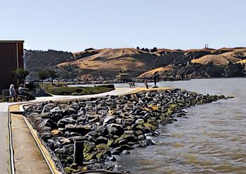 Dog Friendly Beaches in Vallejo California