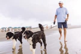 Dog Friendly Beaches in Wichita Kansas