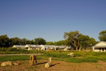 Family Farm Stays in Albuquerque New Mexico