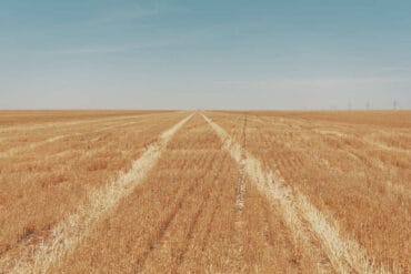 Family Farm Stays in Amarillo Texas