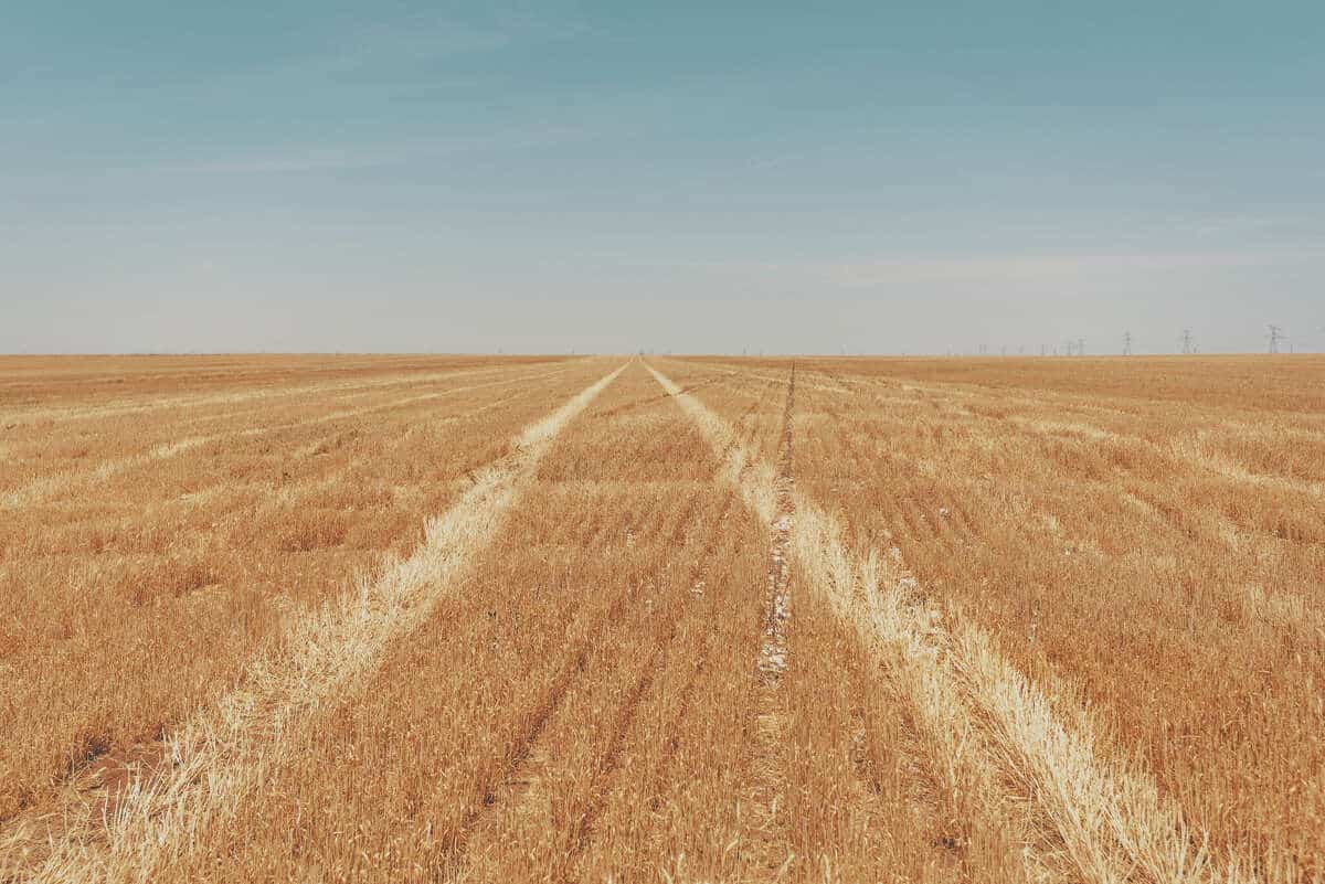 Family Farm Stays in Amarillo Texas