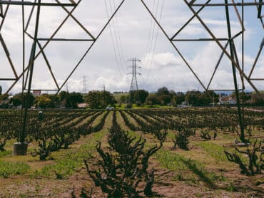 Family Farm Stays in Antioch California