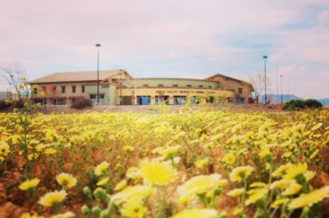 Family Farm Stays in Apple Valley California